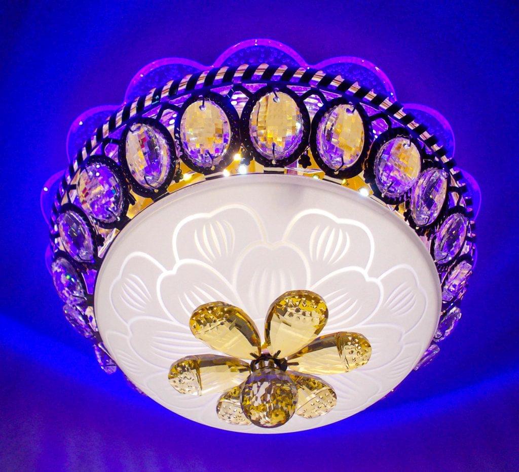 Peacock Chandelier Ceiling Lamp 12 inch 2023-300