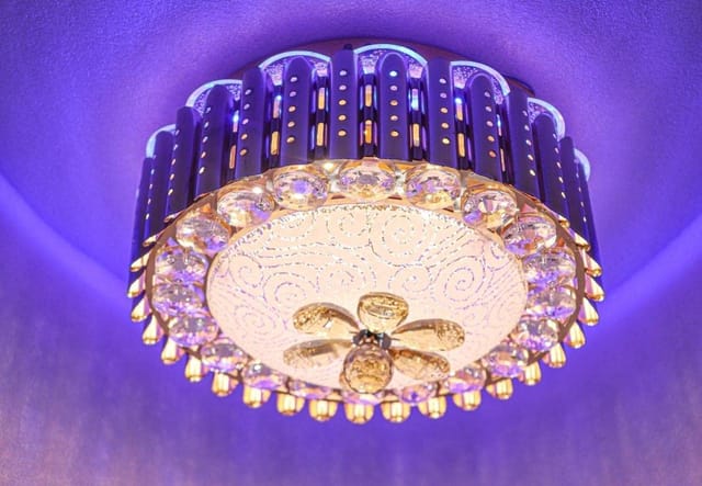 Peacock Chandelier Ceiling Lights 9008-300