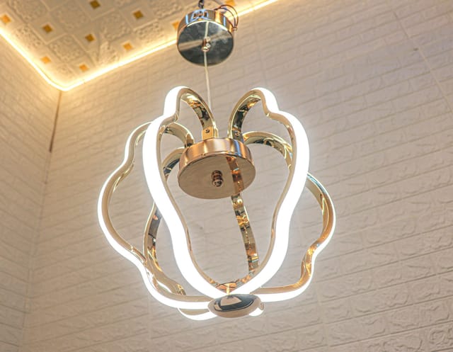 Swanart Profile Hanging Light 5781